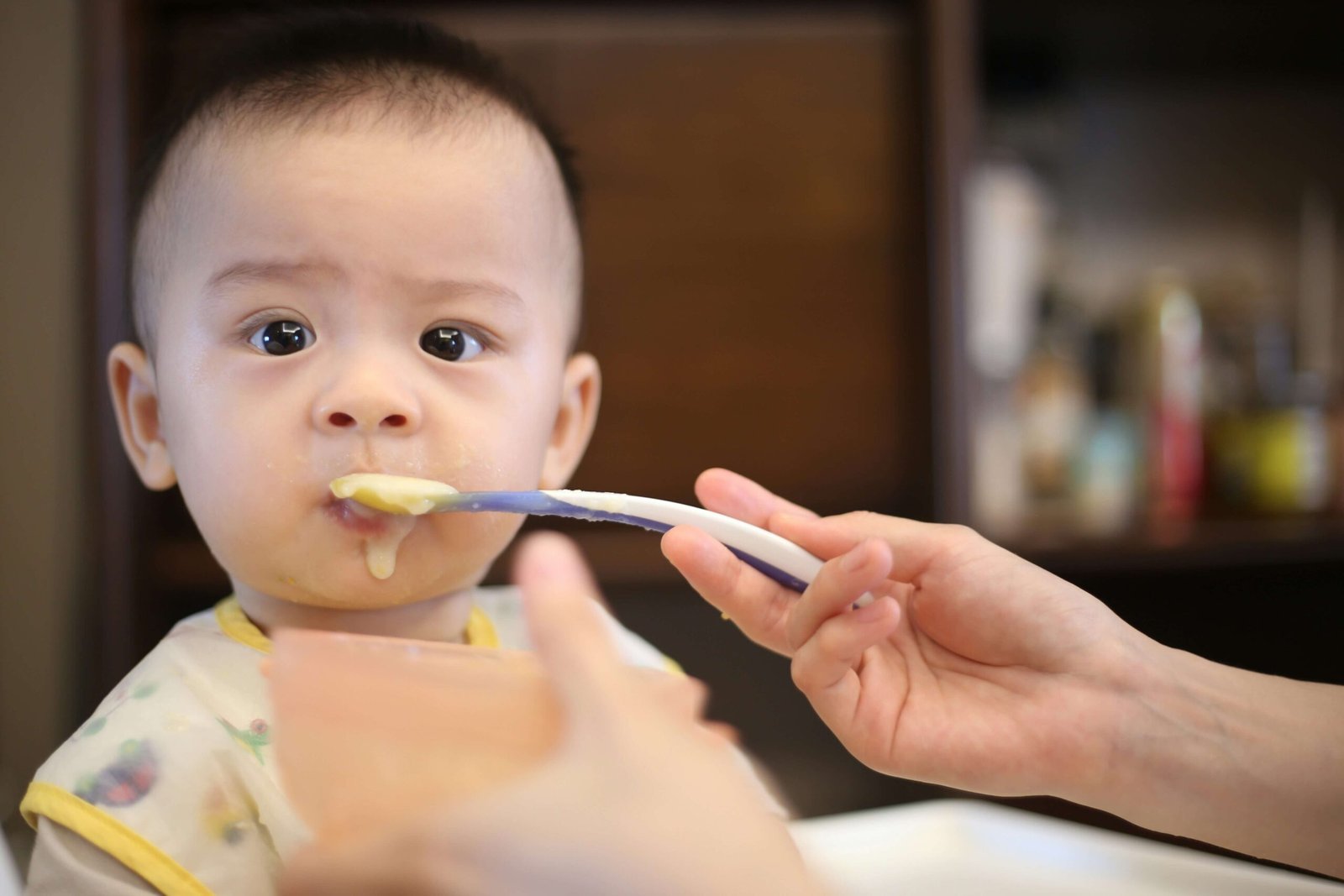 Macro Lancer Baby Food